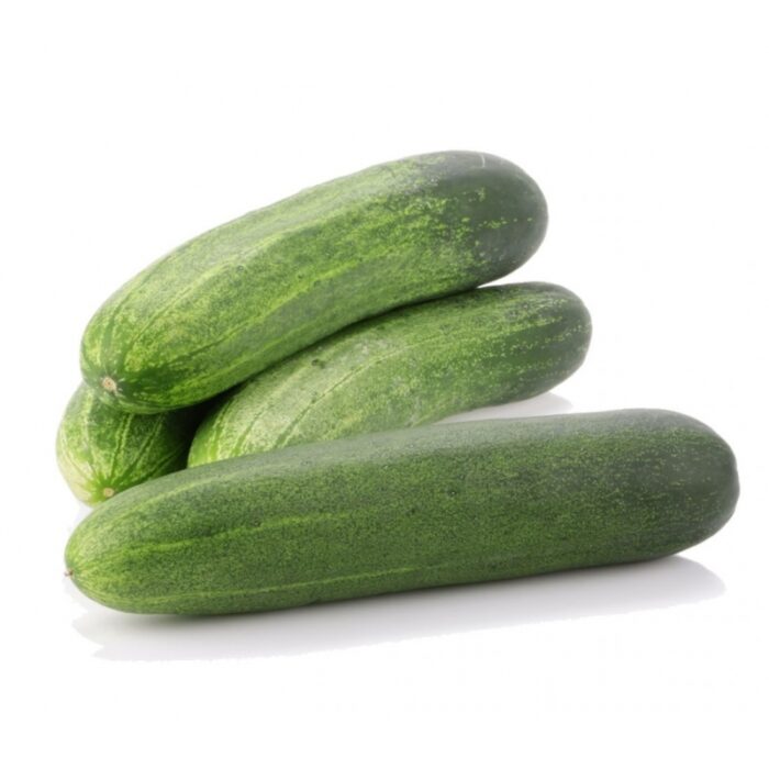 Fresh Cucumbers