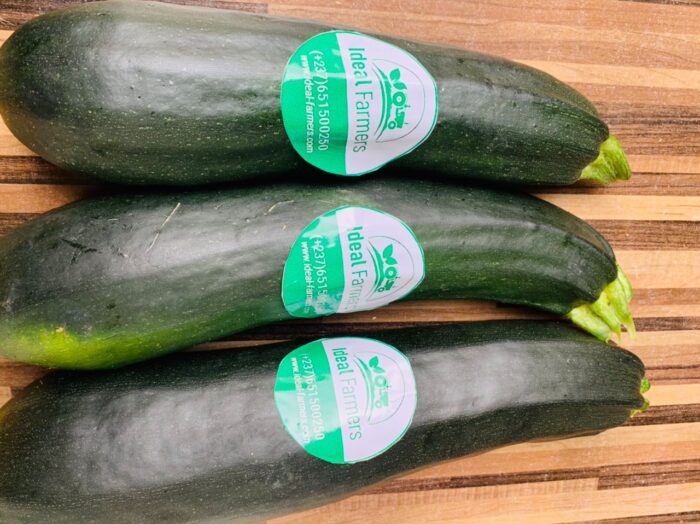 Fresh Organic Zucchini - Image 4