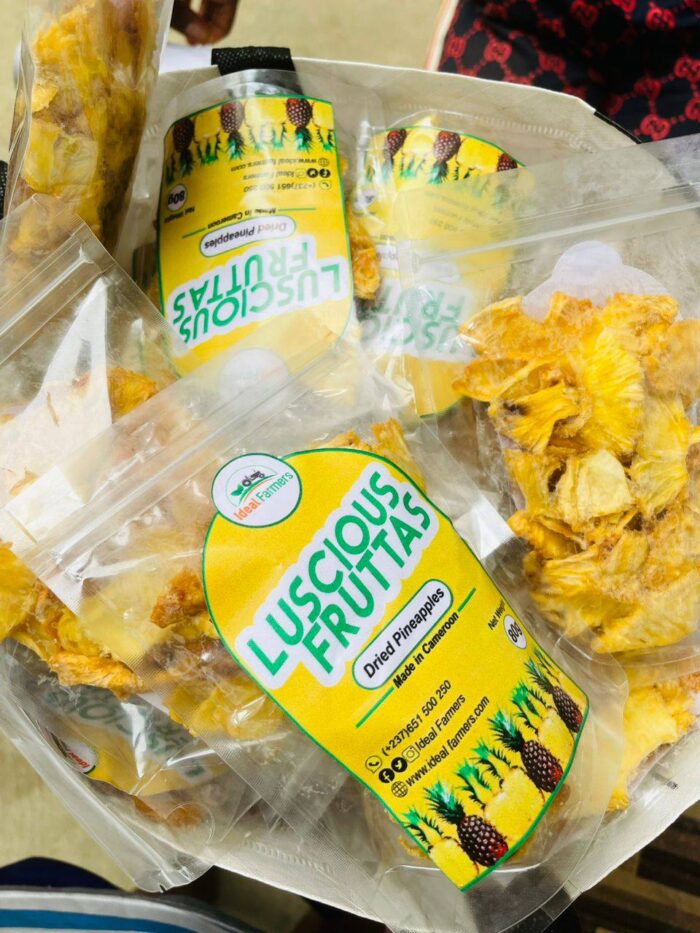 Organic Dried Pineapple Rings